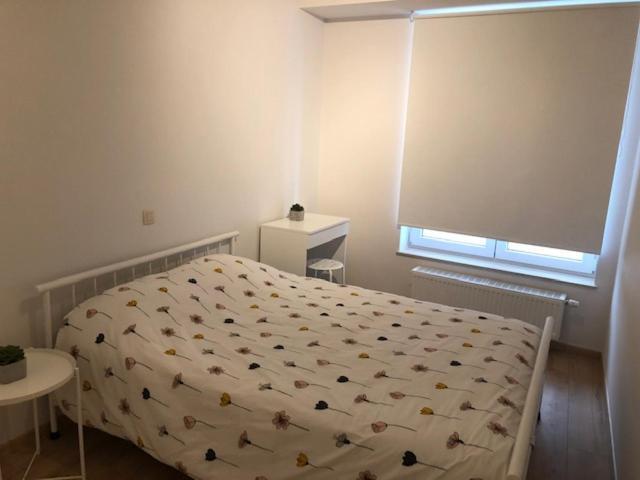 Vakantie Appartement Allure, Met Zuidgericht Tuintje Ostend Exterior foto